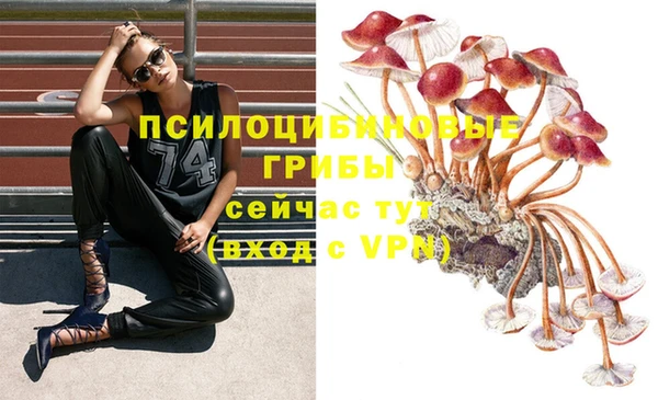 героин Алексин