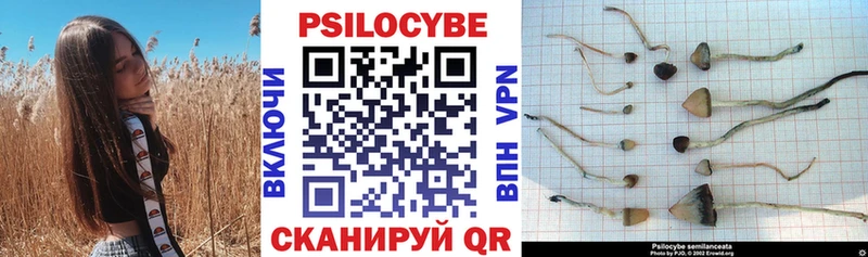 Галлюциногенные грибы GOLDEN TEACHER  мориарти формула  Спас-Клепики  что такое наркотик 